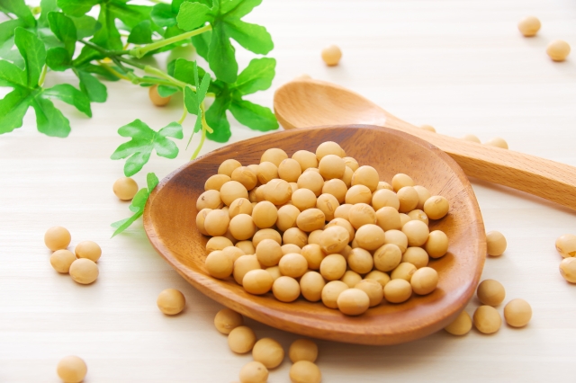 大豆の写真